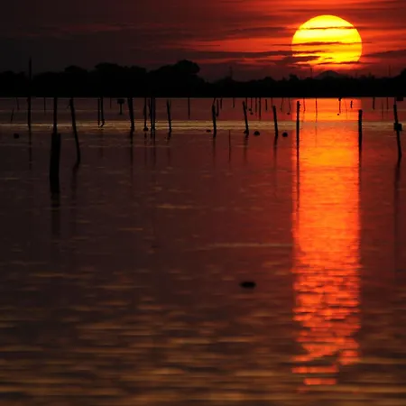 Isola Di Albarella Golf Albarella Island