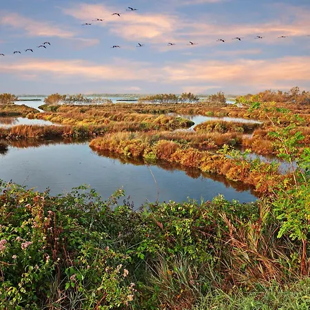 Hotel Isola Di Albarella Golf