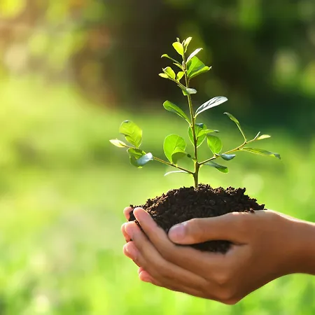 Isola Di Albarella Golf Albarella Island