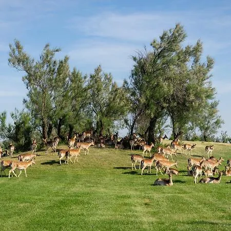 Albarella Golf Hotell