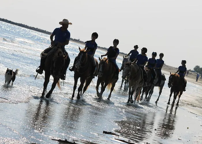 Isola Di Albarella Golf 4*