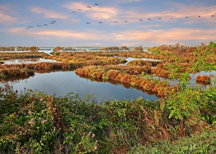 호텔 Isola Di Albarella Golf